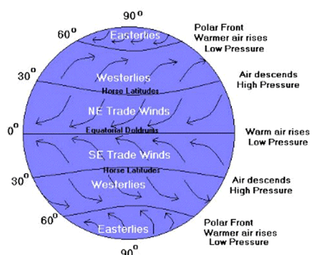 Image result for TRADE WIND IN NCERT