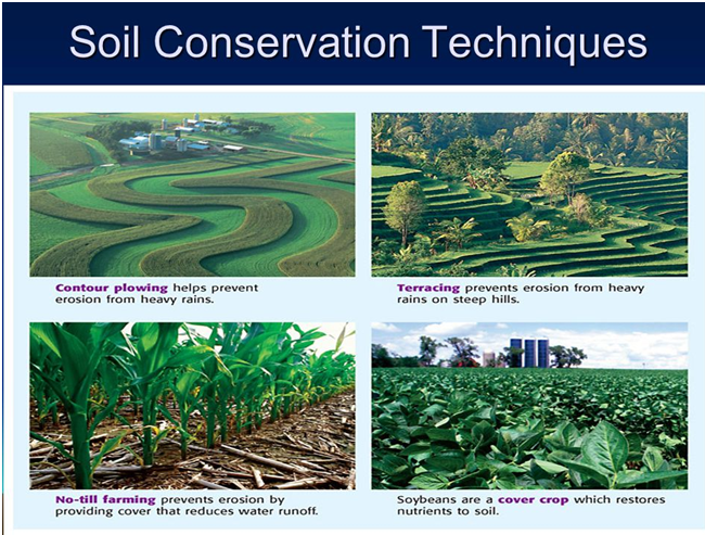 Soil Erosion Scraby