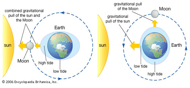 Ocean Currents and Tides, Importance of Ocean: Oceanography