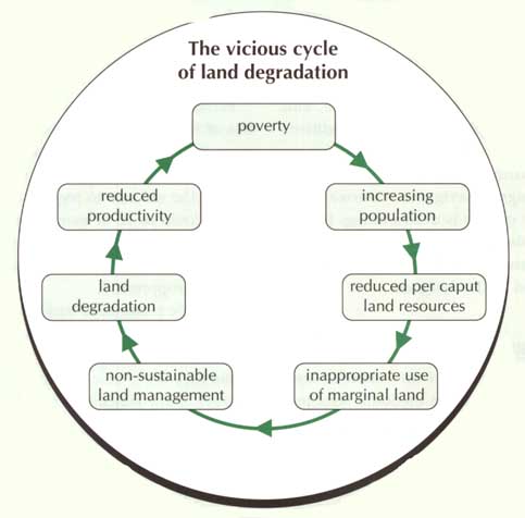 OVERVIEW OF LAND DEGRADATION AND DESERTIFICATION